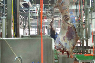 beat365官网,beat365官网入口网页版登录,beat365中国唯一官方网站食品